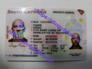 SOUTH CAROLINA(SC NEW)