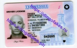 TENNESSEE(TN O21 2025 POLYCARD)