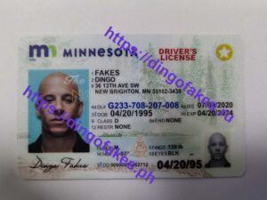 MINNESOTA(MN NEW)