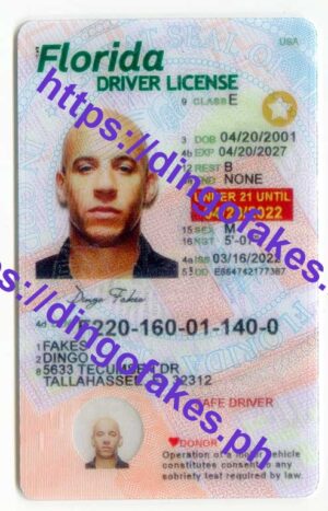 FLORIDA(FL U21 NEW 2022 POLYCARD)