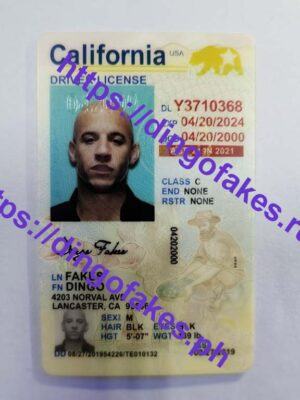 CALIFORNIA(CA U21 NEW)